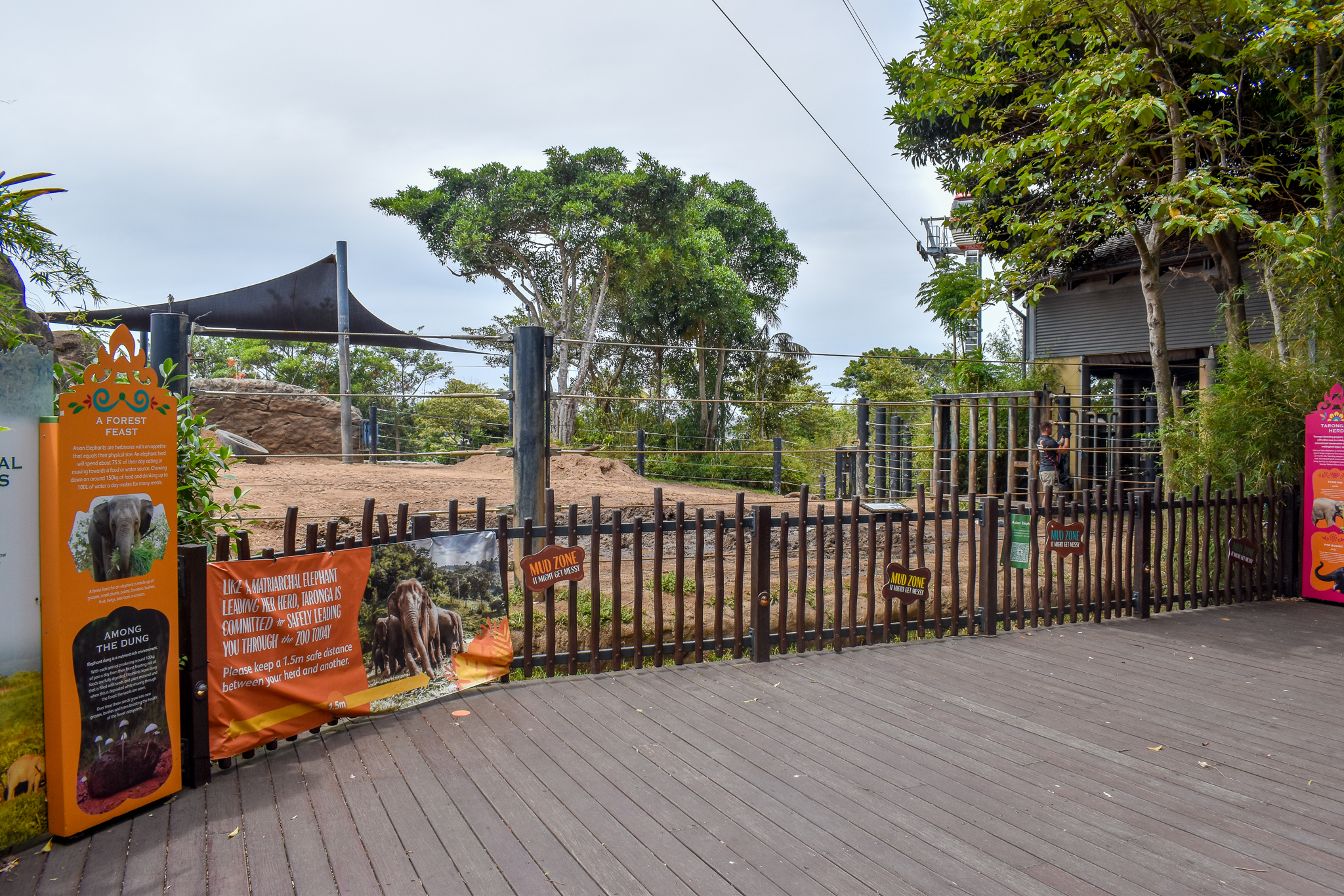 Asian Elephant Enclosure - second viewing area