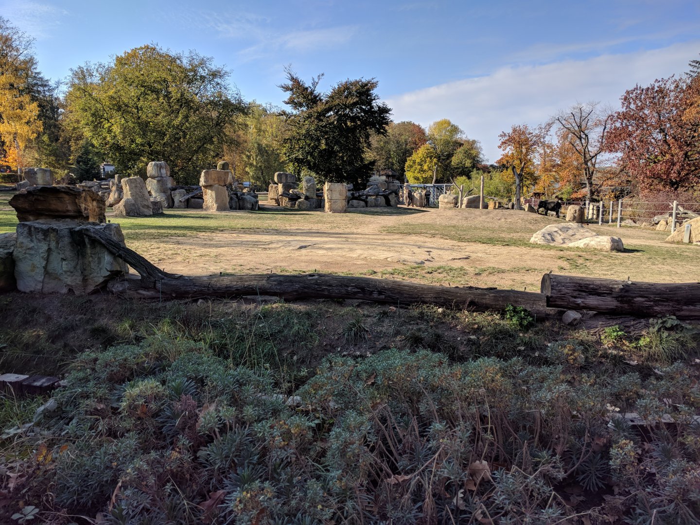 Asian Elephant Enclosure Zoo Praha 2018