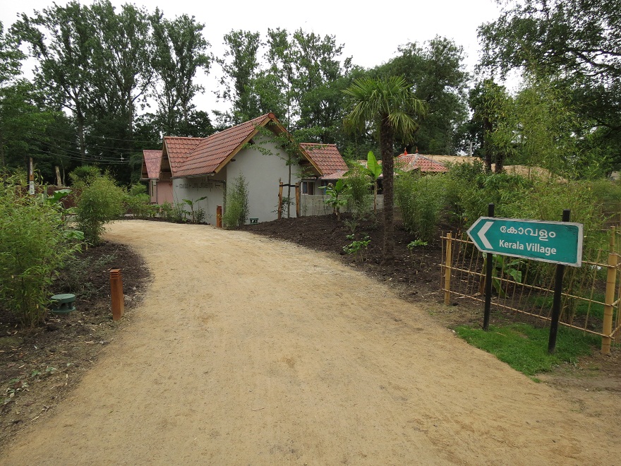 Asian Elephant Enclosure
