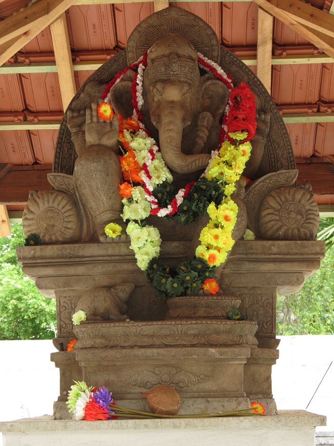 Asian Elephant Enclosure