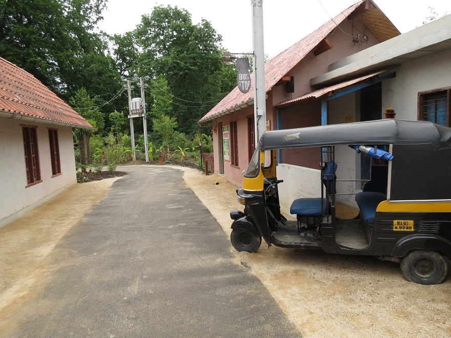 Asian Elephant Enclosure