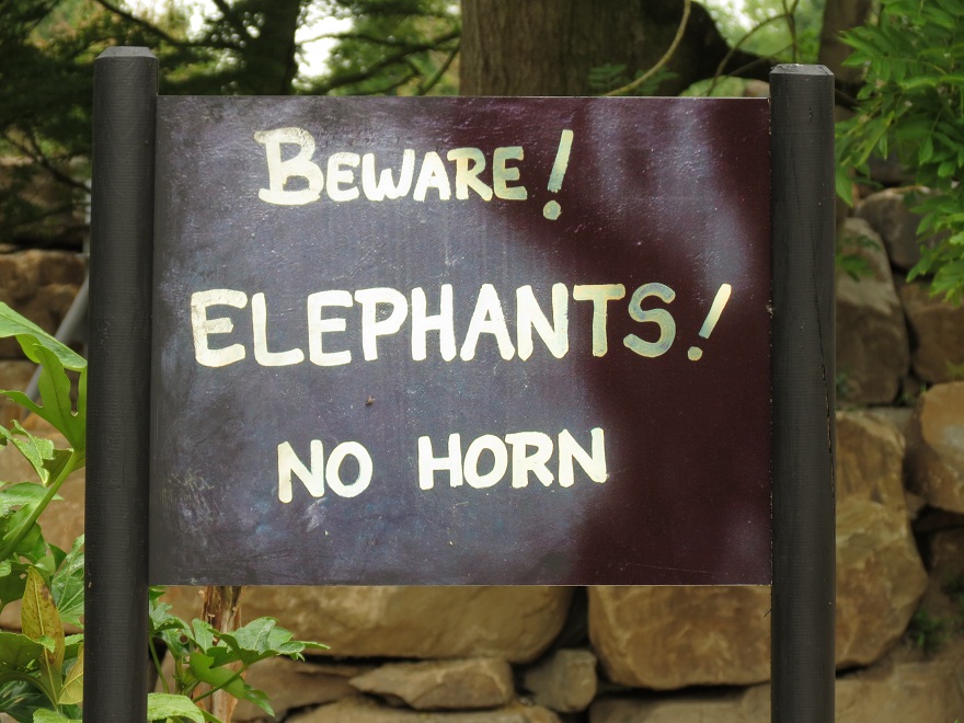 Asian Elephant Enclosure