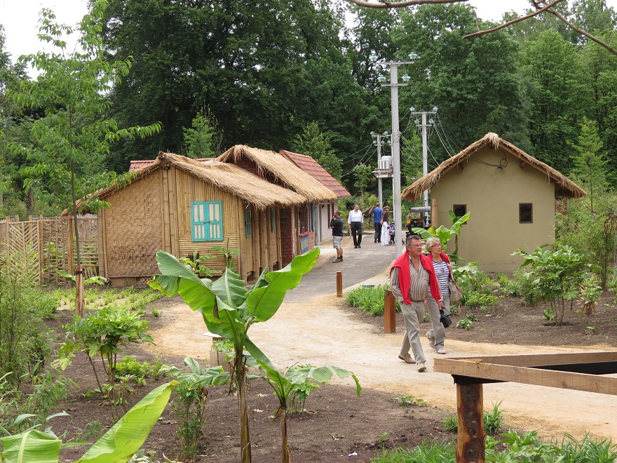 Asian Elephant Enclosure