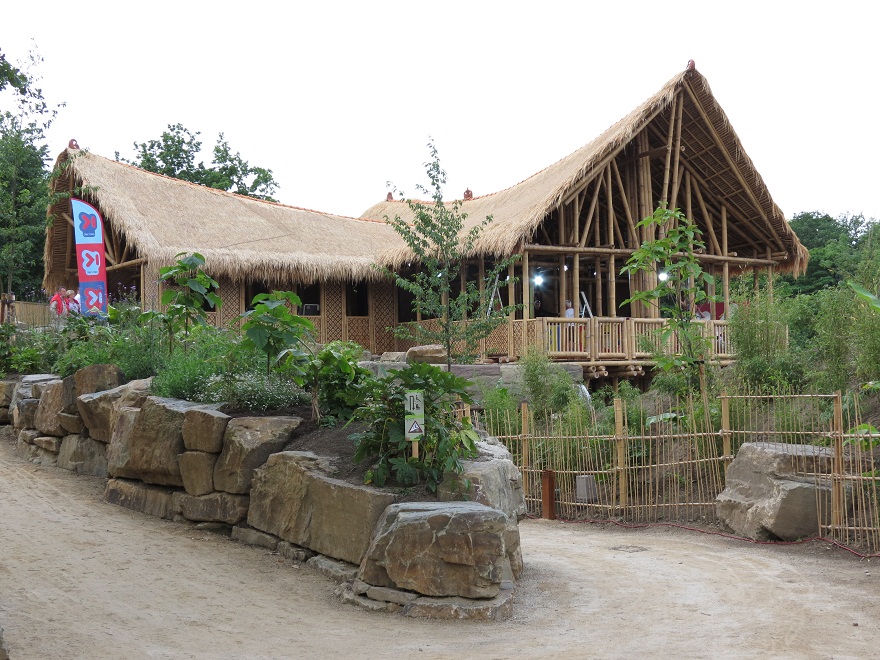 Asian Elephant Enclosure