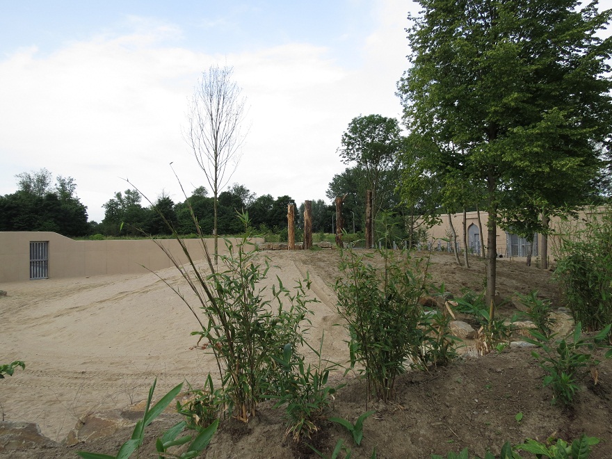 Asian Elephant Enclosure
