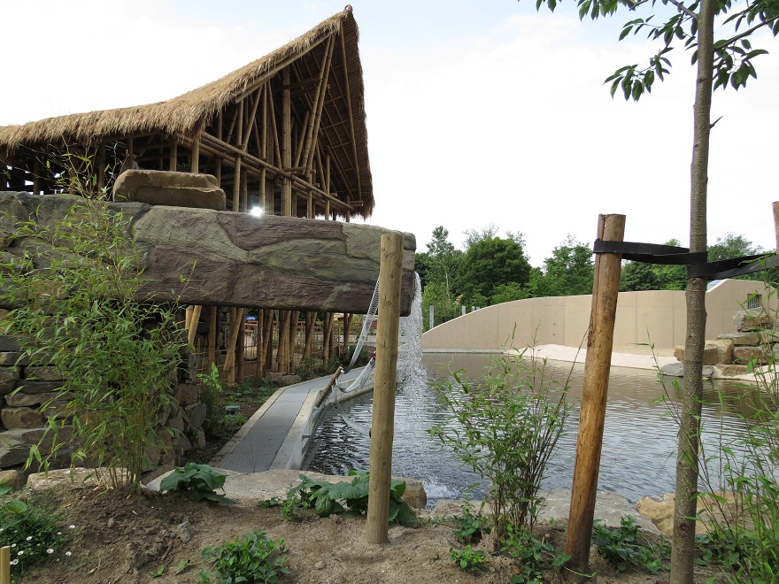 Asian Elephant Enclosure