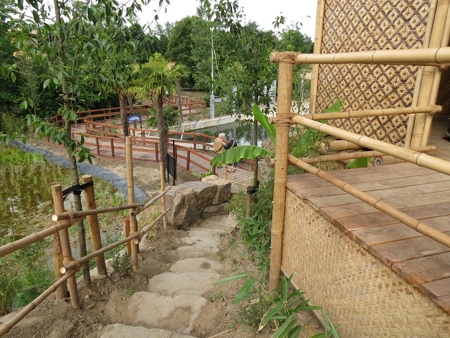 Asian Elephant Enclosure