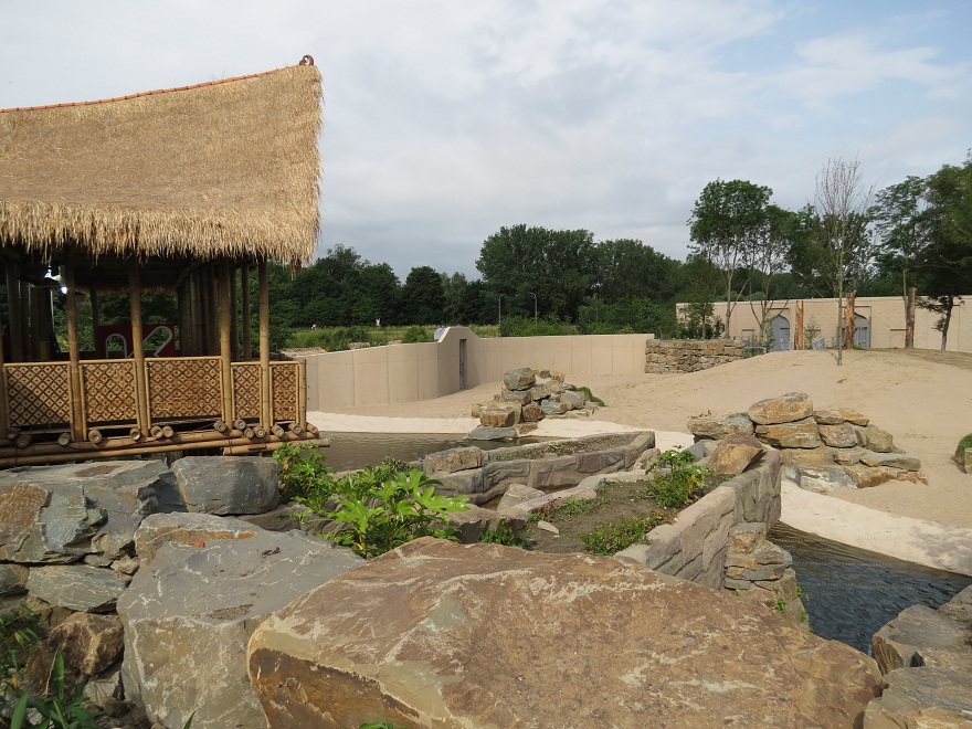 Asian Elephant Enclosure