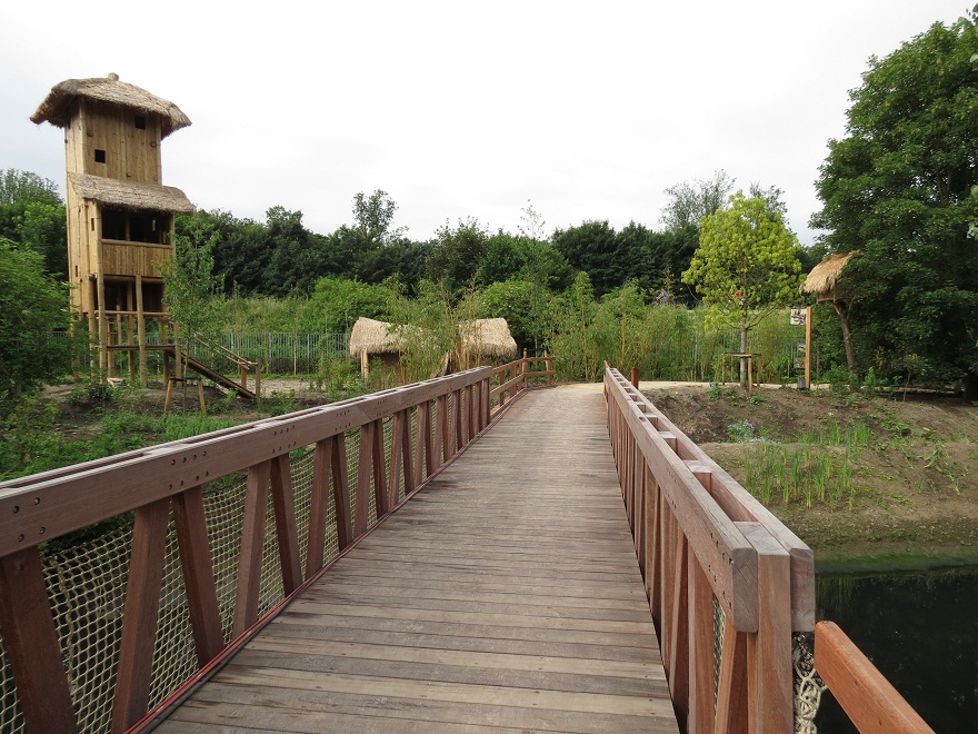Asian Elephant Enclosure