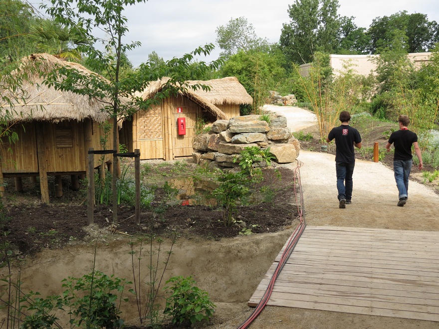 Asian Elephant Enclosure