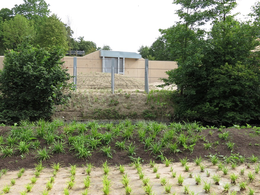 Asian Elephant Enclosure