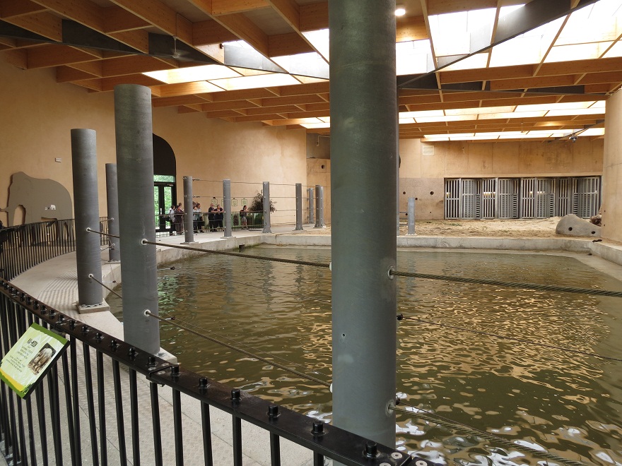 Asian Elephant Enclosure