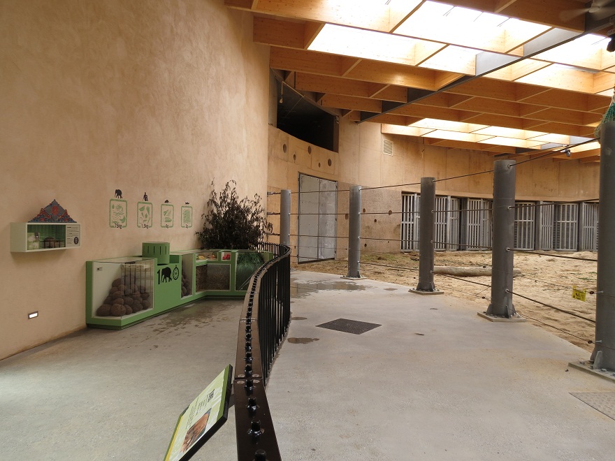 Asian Elephant Enclosure