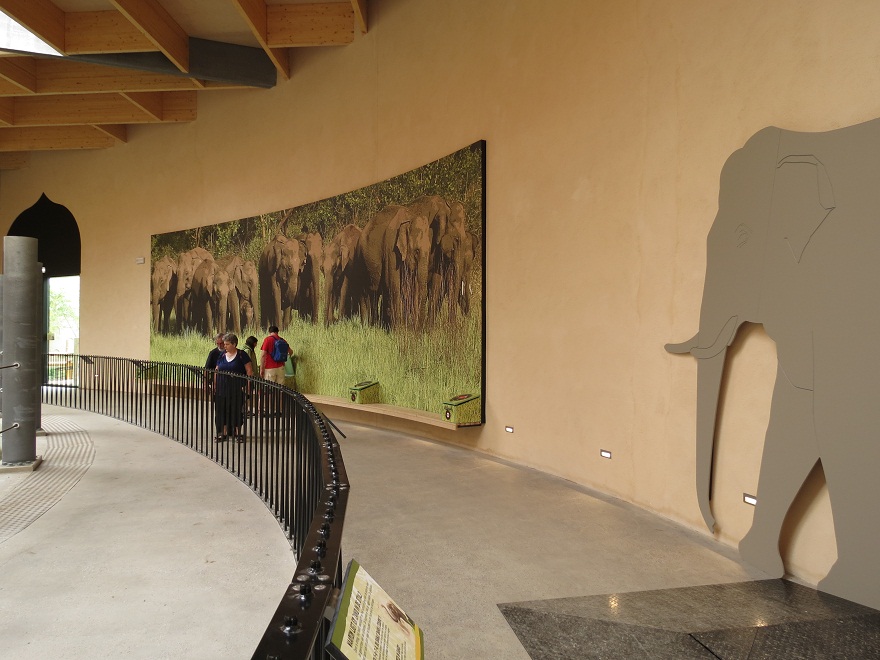 Asian Elephant Enclosure