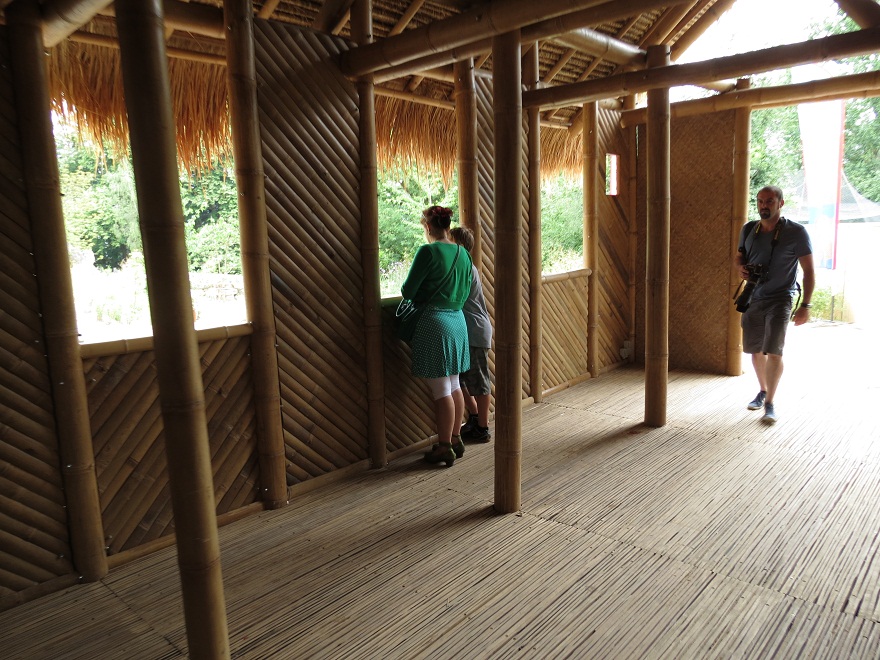 Asian Elephant Enclosure