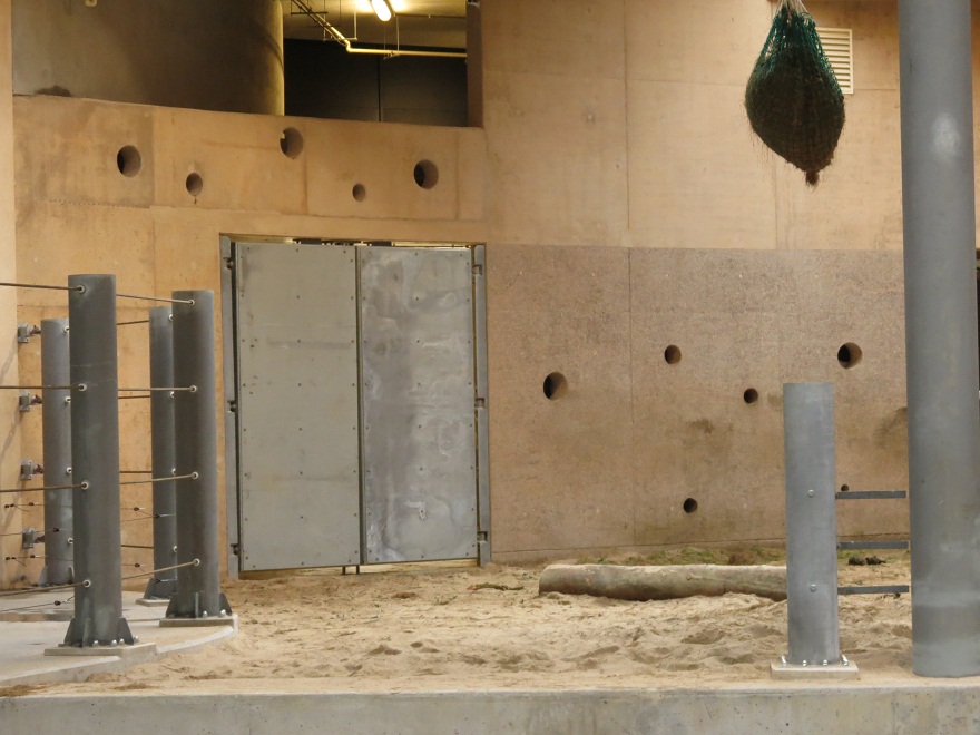 Asian Elephant Enclosure