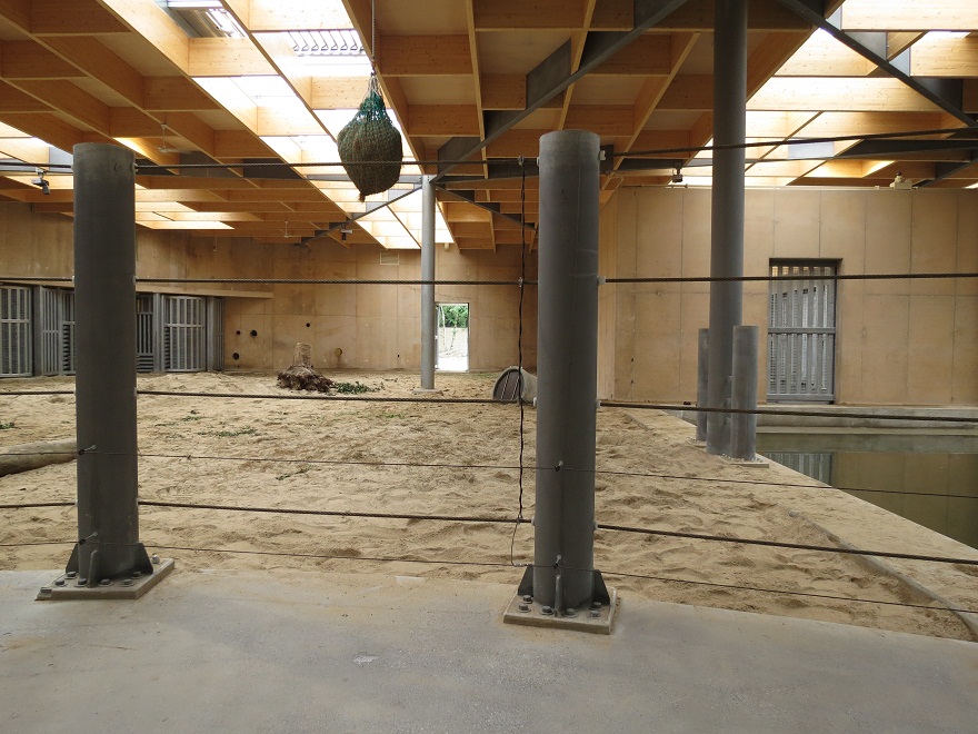 Asian Elephant Enclosure