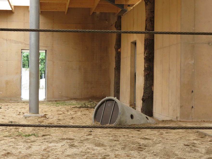 Asian Elephant Enclosure