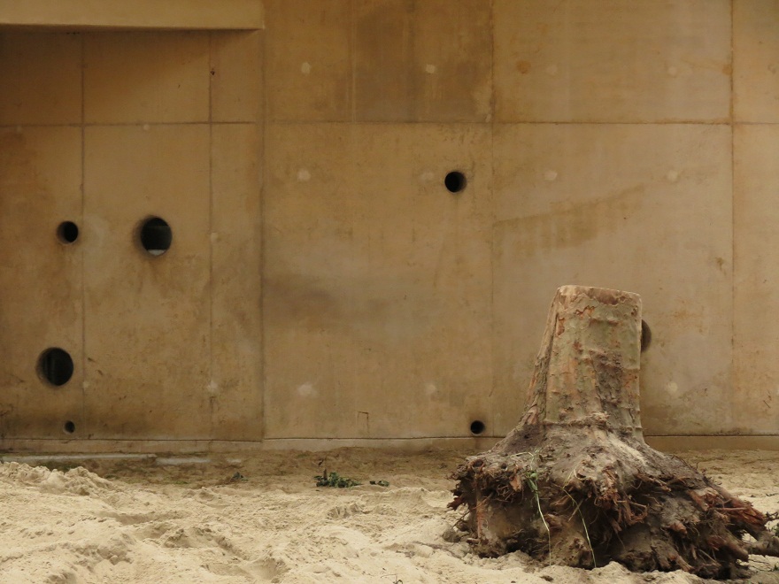 Asian Elephant Enclosure