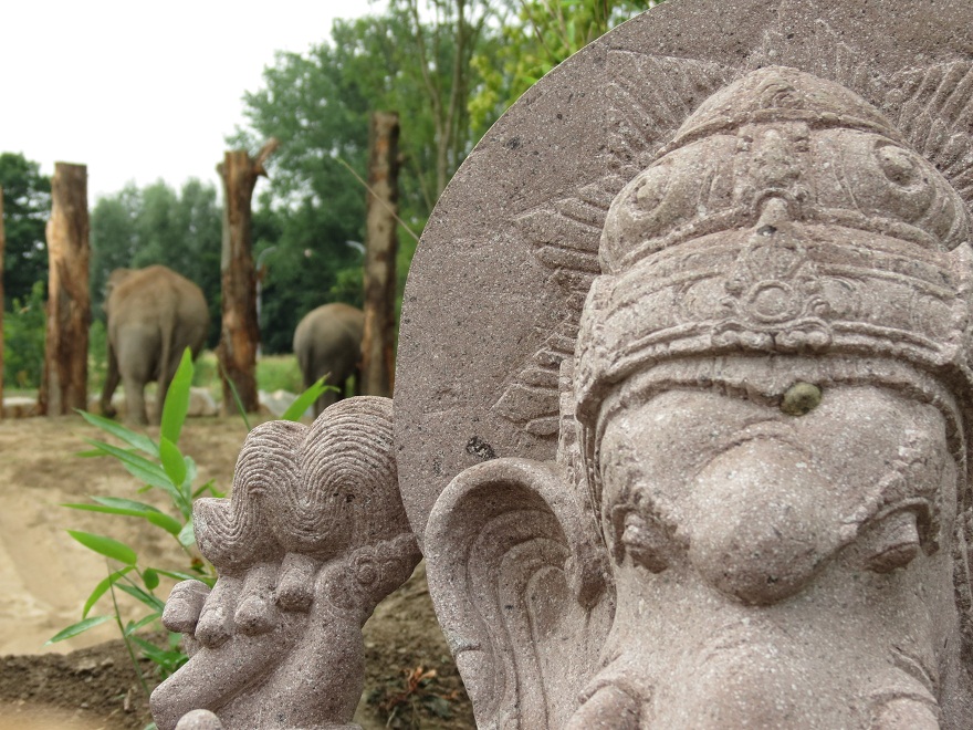 Asian Elephant Enclosure