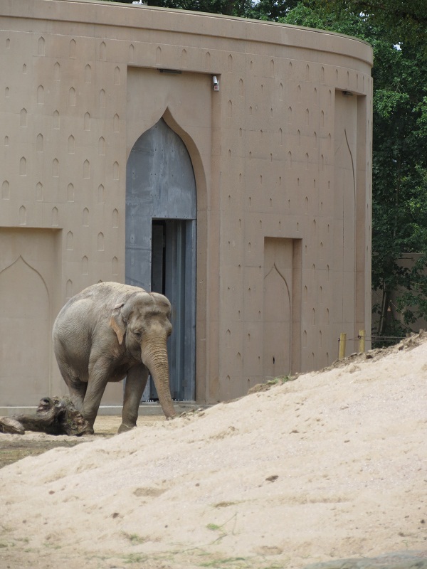 Asian Elephant Enclosure