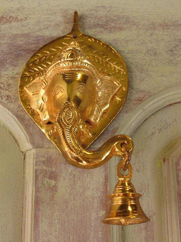 Asian Elephant Enclosure