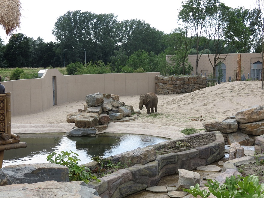Asian Elephant Enclosure