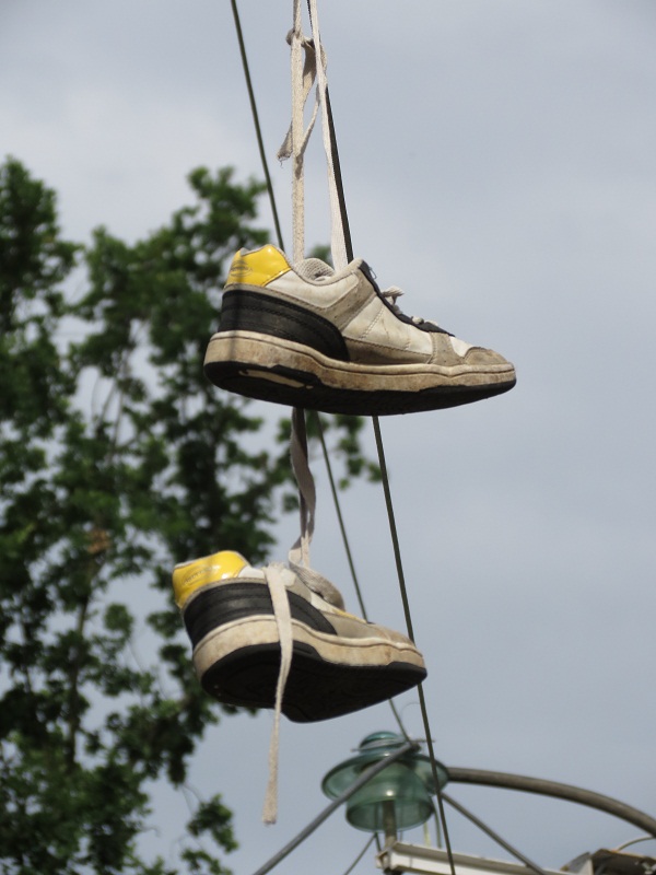 Asian Elephant Enclosure