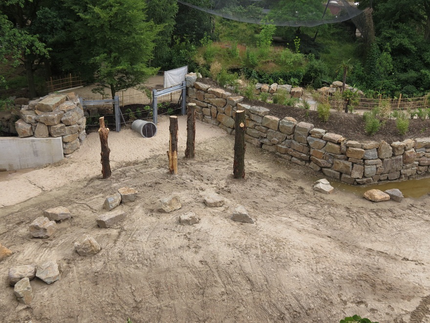 Asian Elephant Enclosure