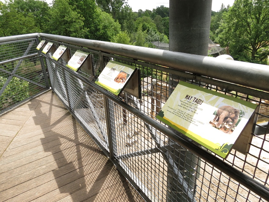 Asian Elephant Enclosure