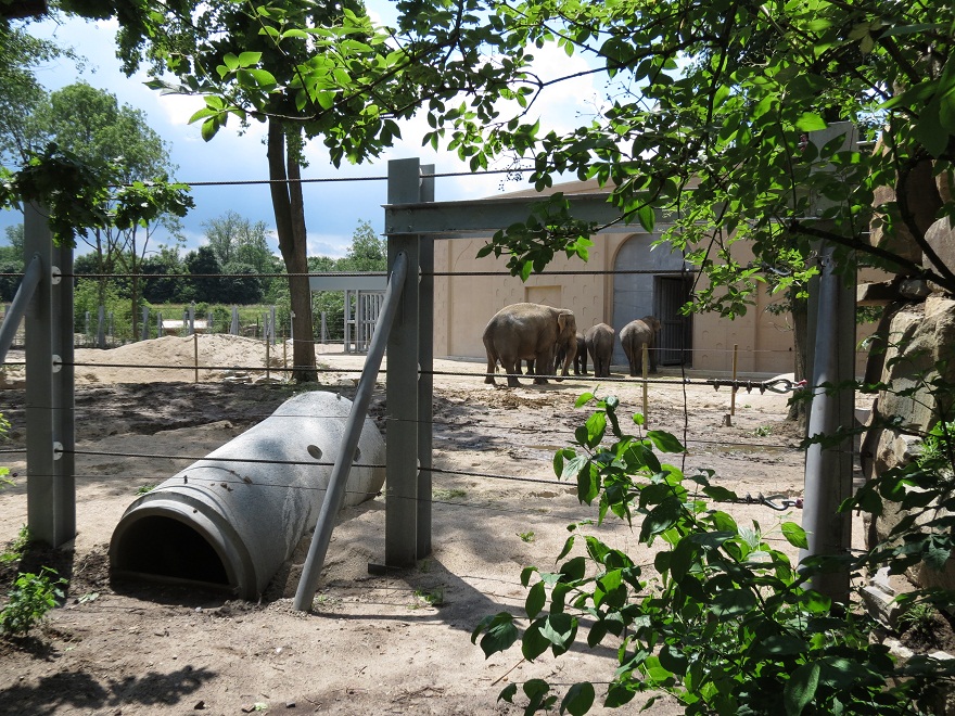 Asian Elephant Enclosure