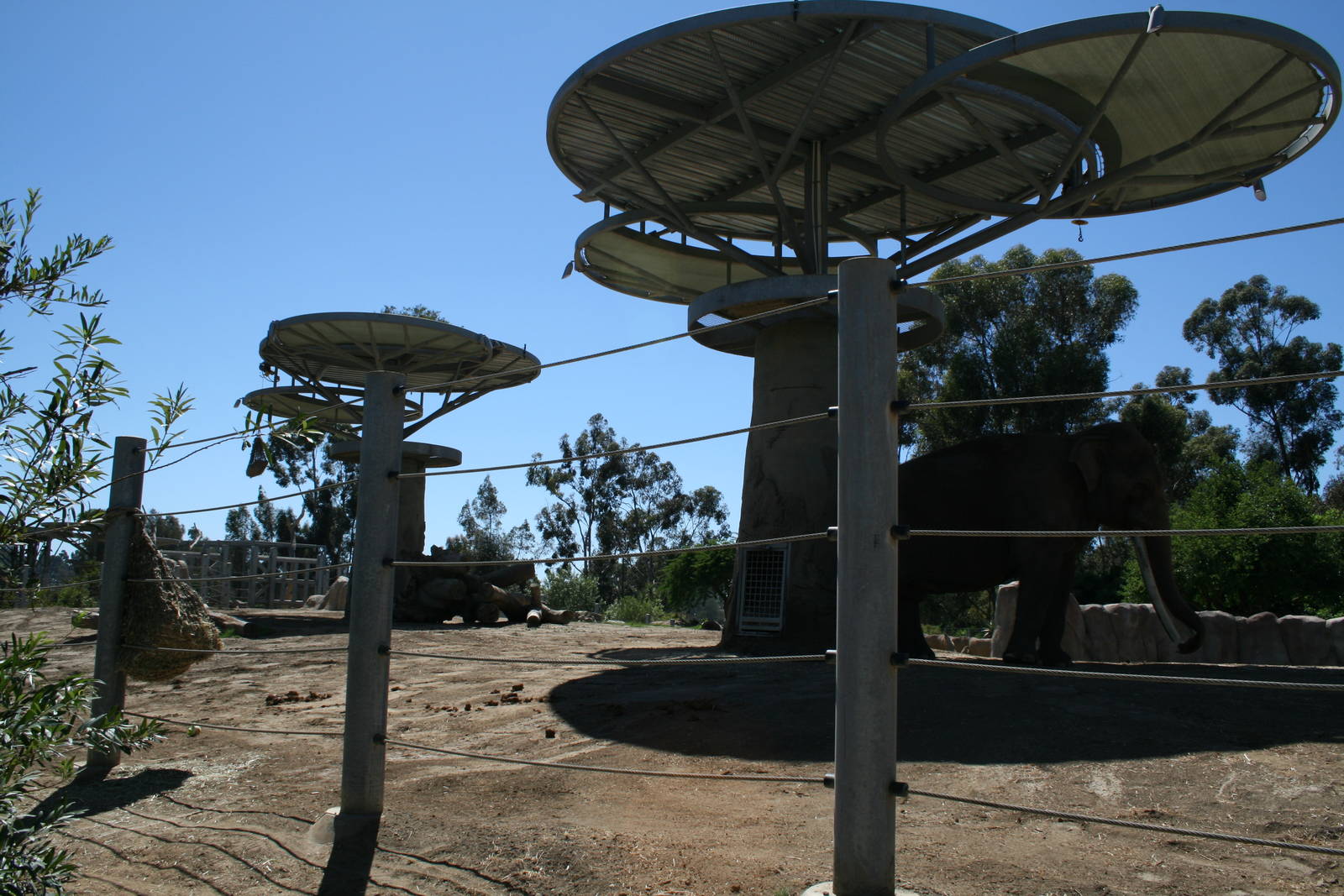 Asian Elephant Enclosure