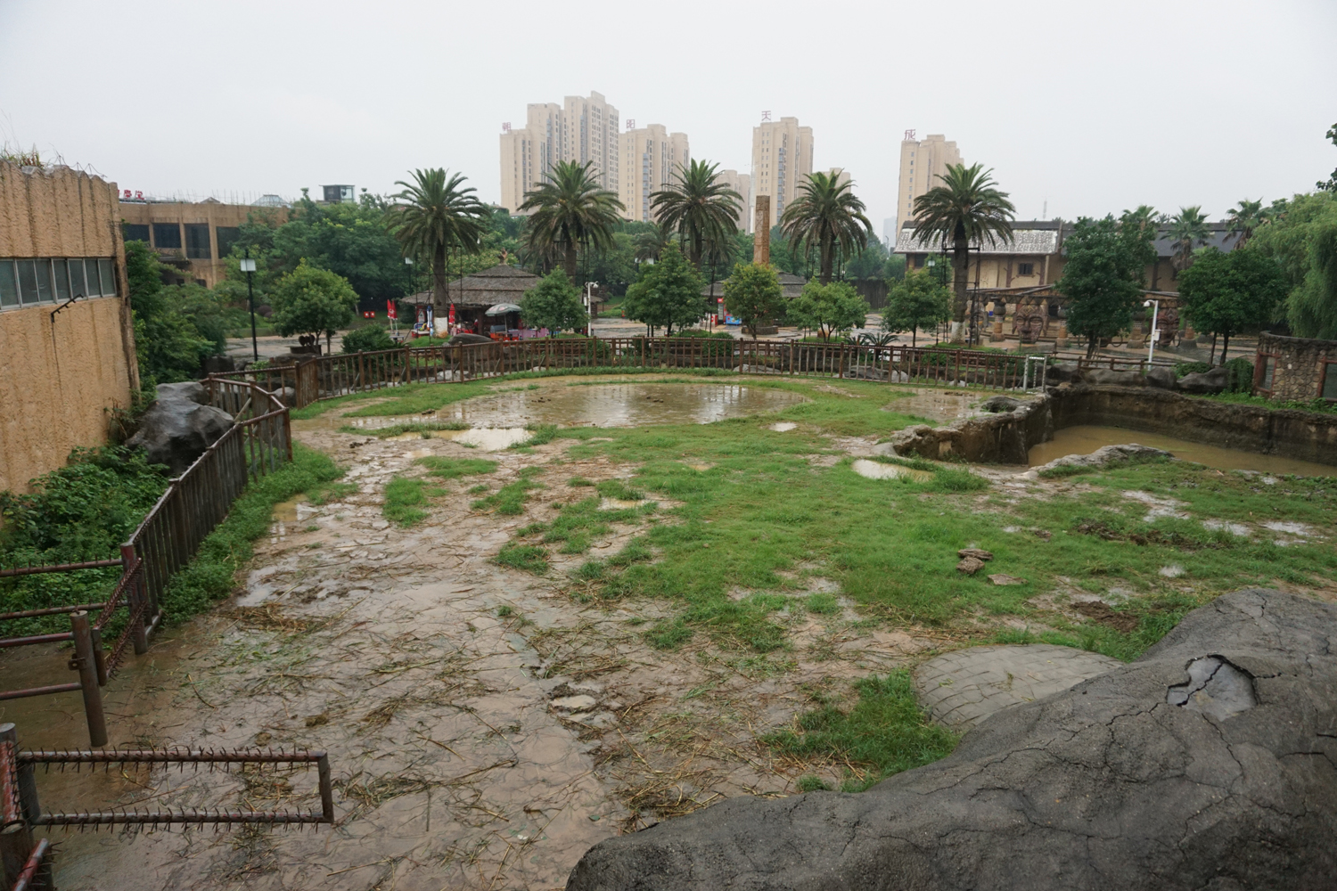 Asian elephant enclosure