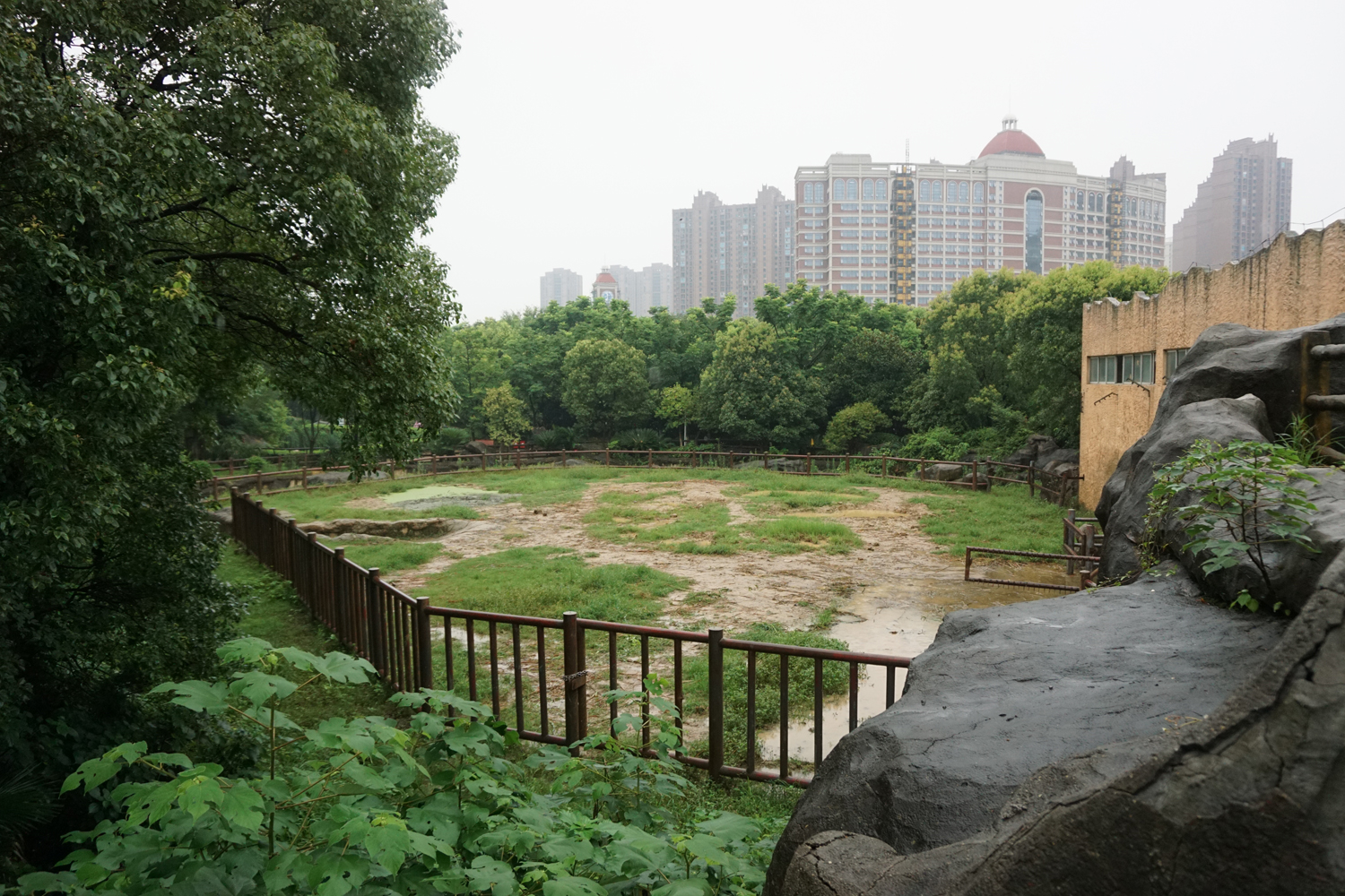 Asian elephant enclosure