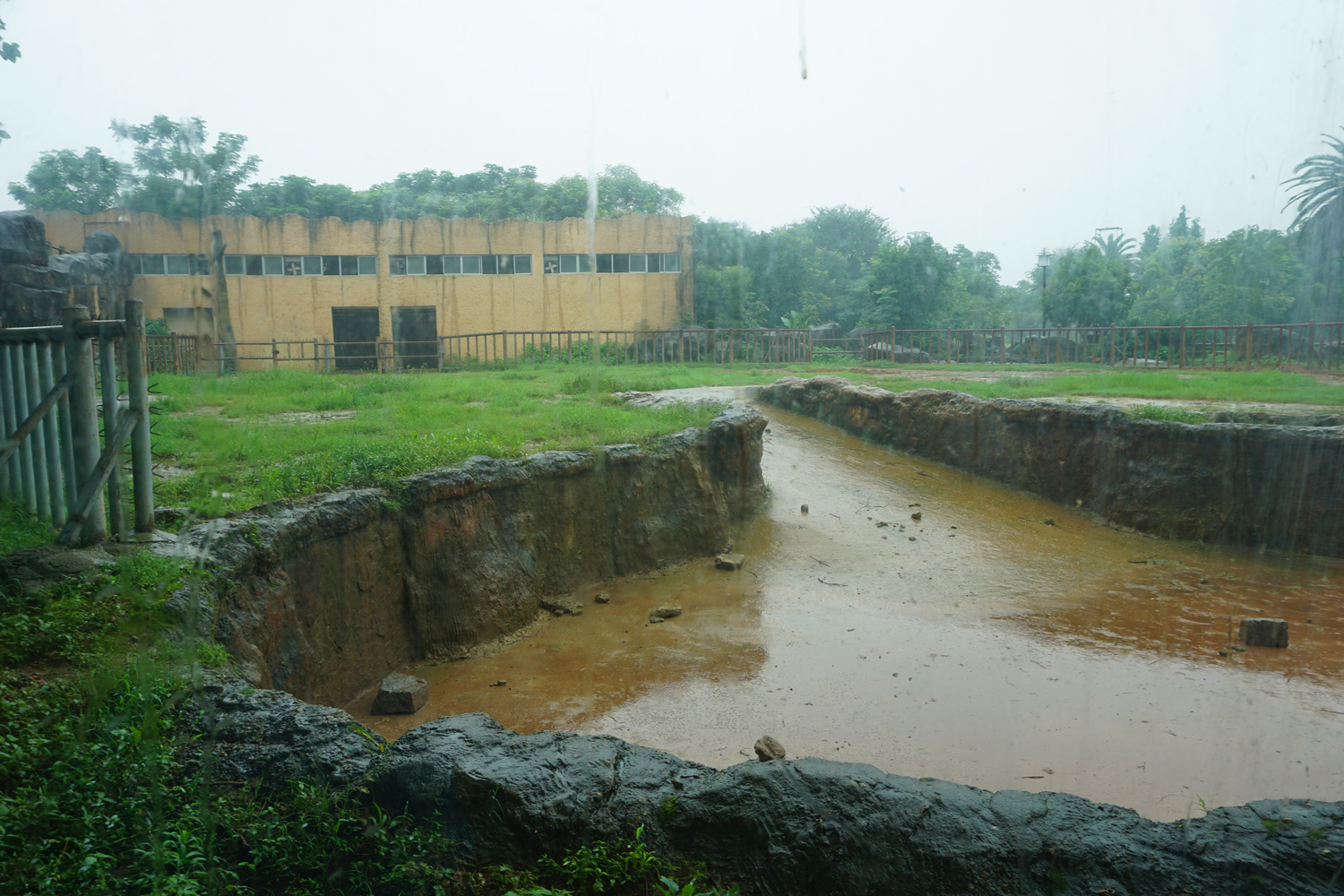 Asian elephant enclosure