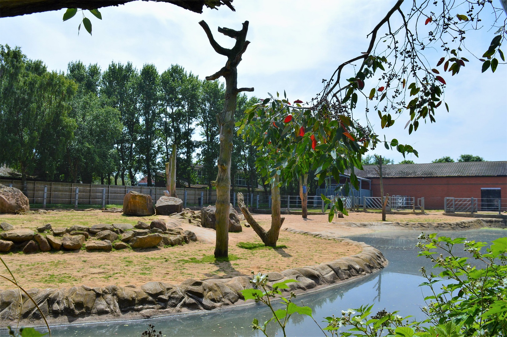 Asian elephant enclosure