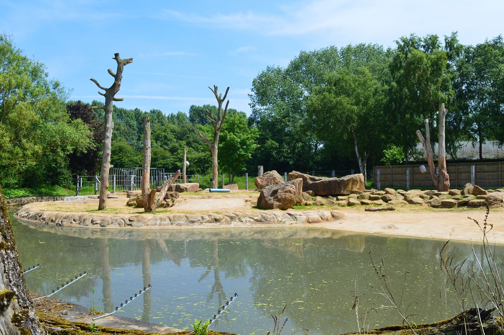 Asian elephant enclosure