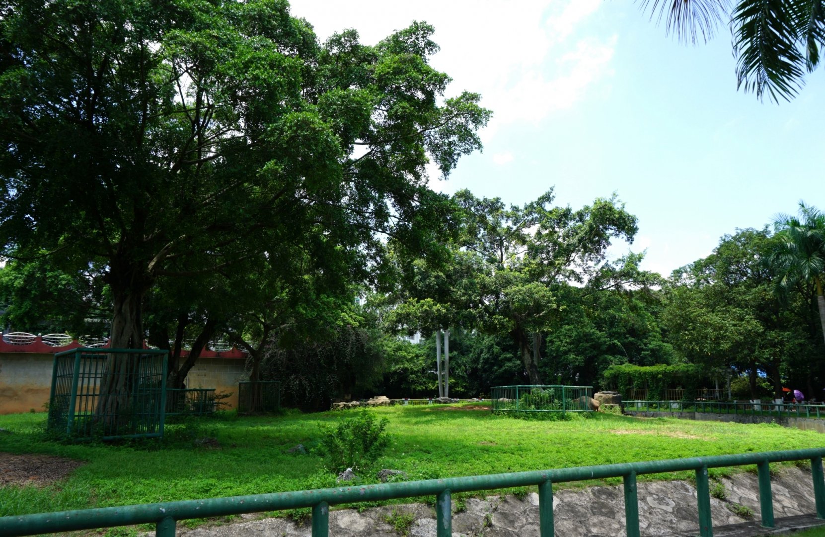 Asian elephant enclosure