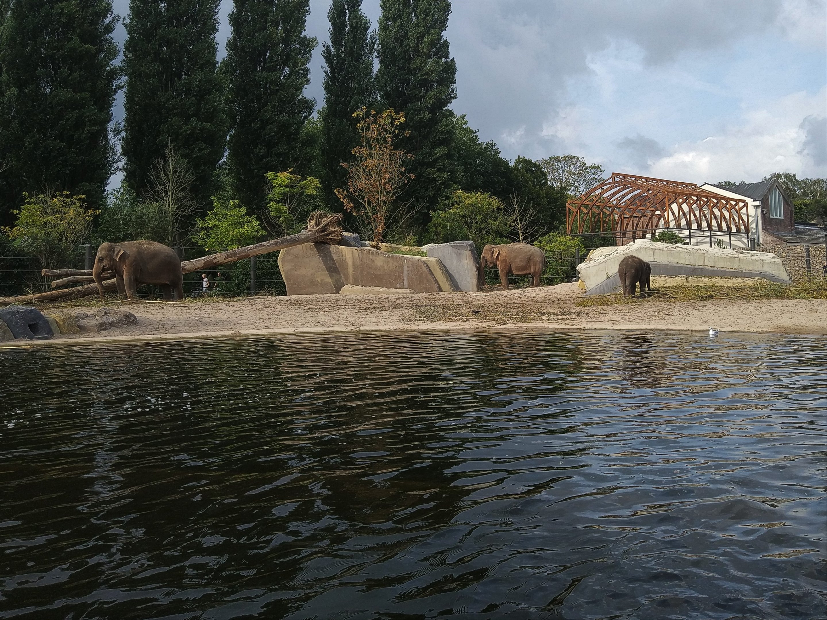 Asian Elephant Enclosure