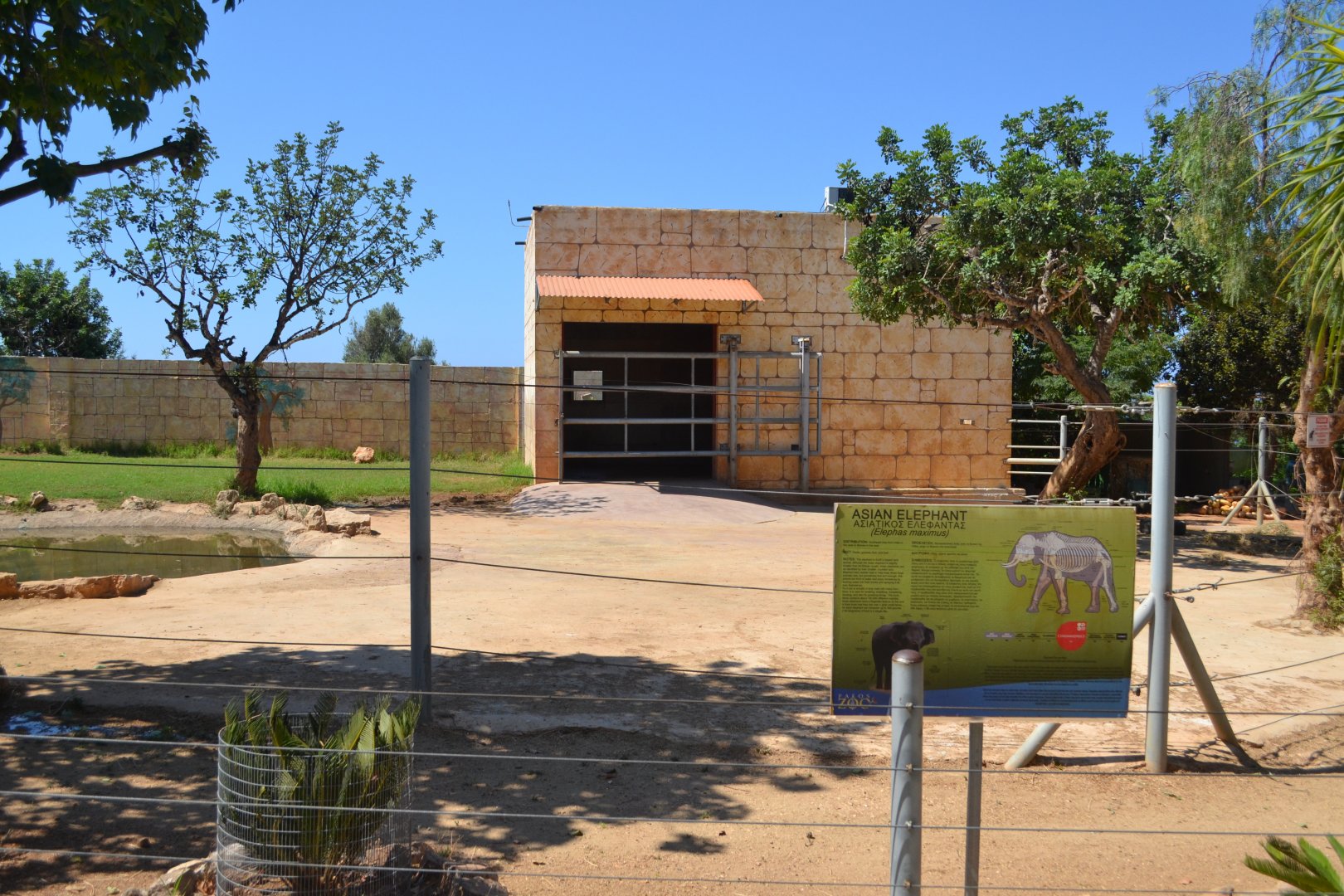 Asian elephant enclosure