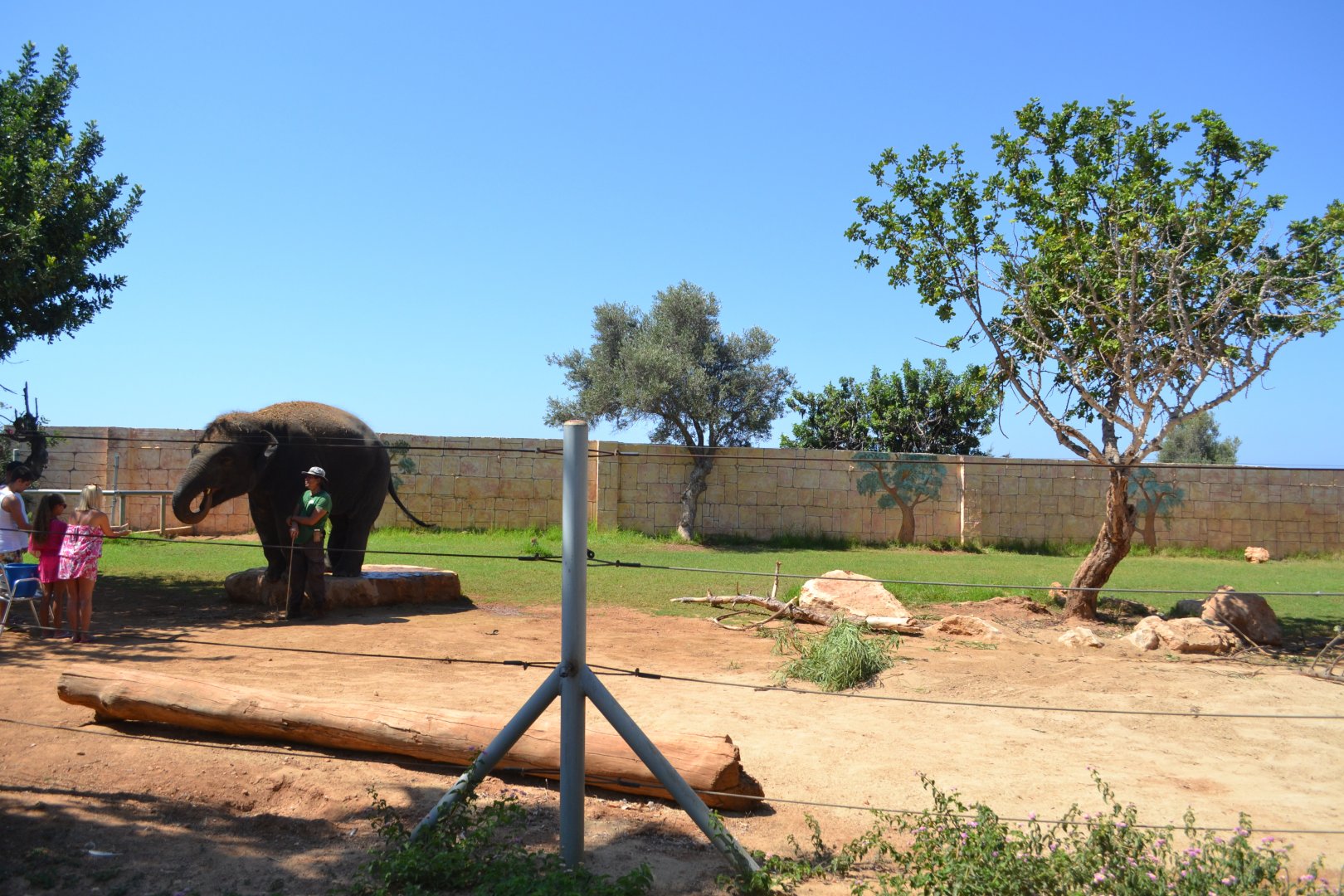 Asian elephant enclosure