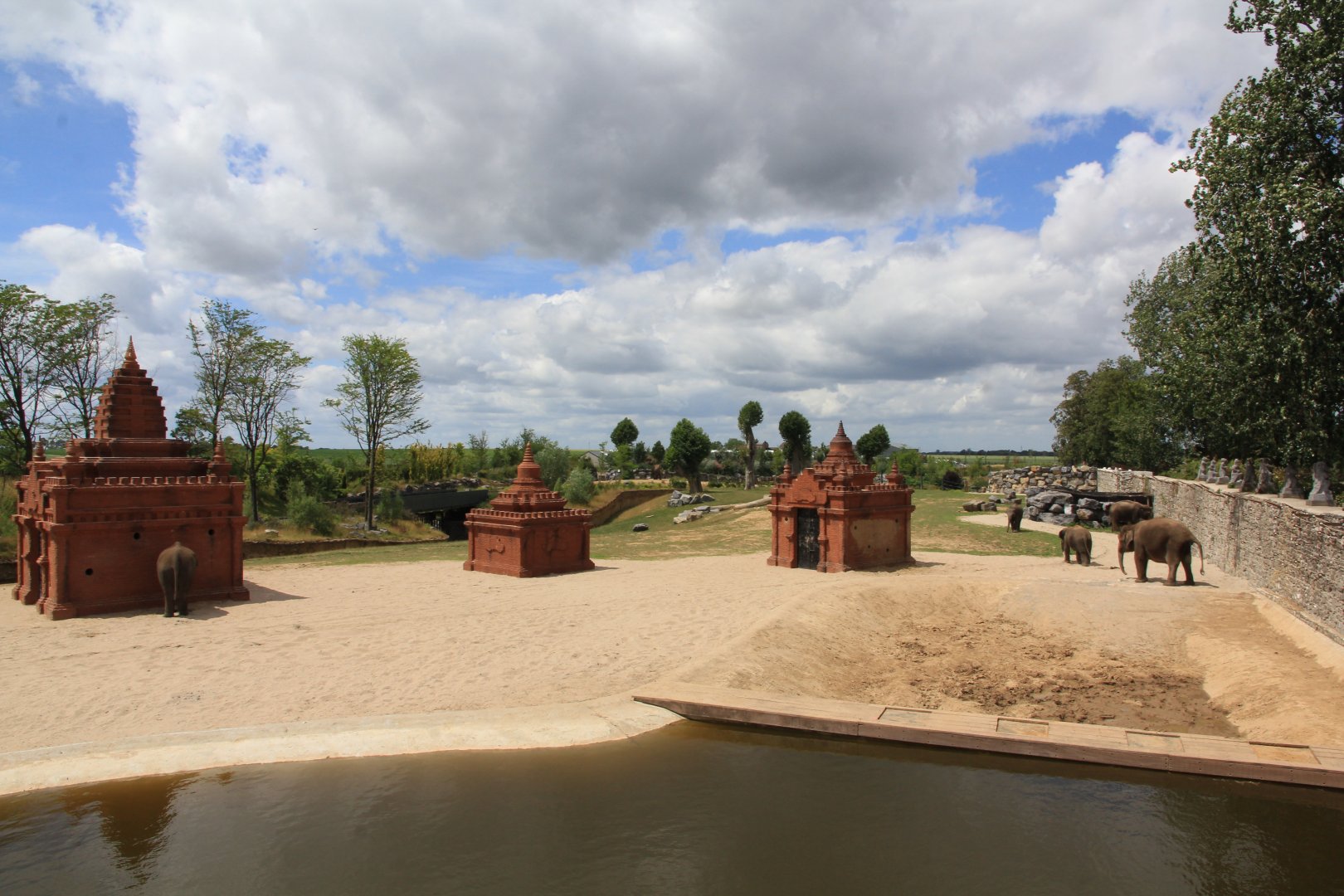 Asian elephant enclosure