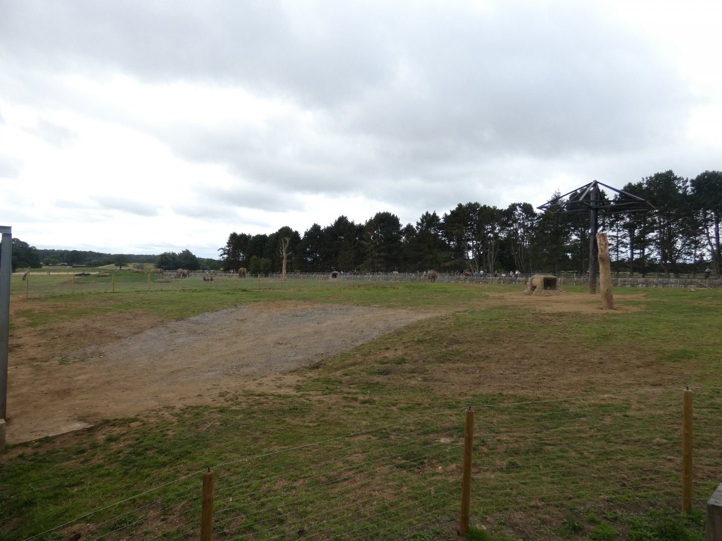 Asian Elephant enclosure