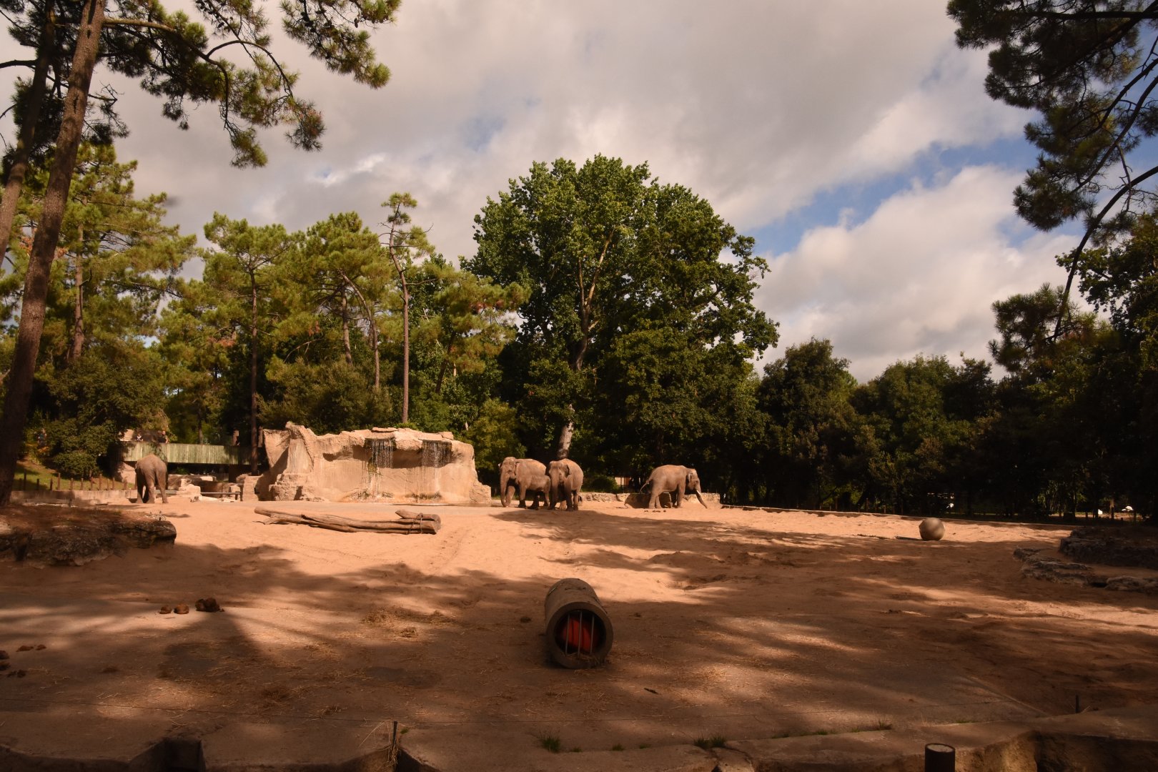 Asian Elephant enclosure