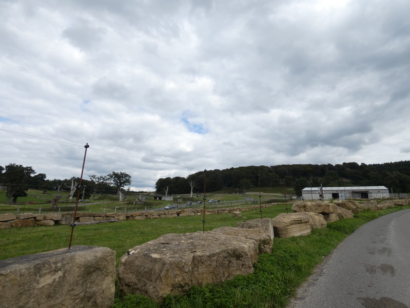 Asian Elephant enclosure