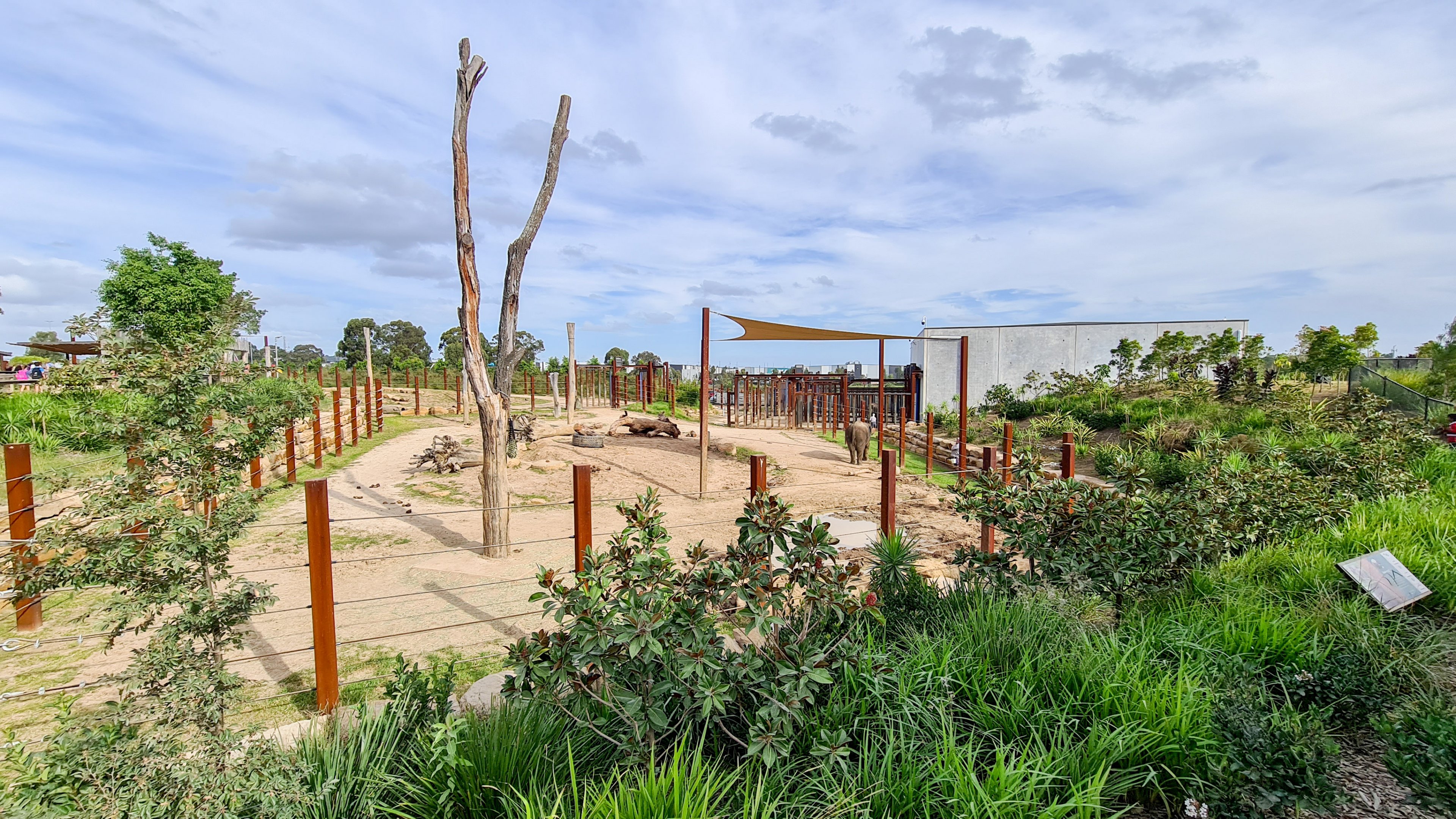 Asian elephant enclosure