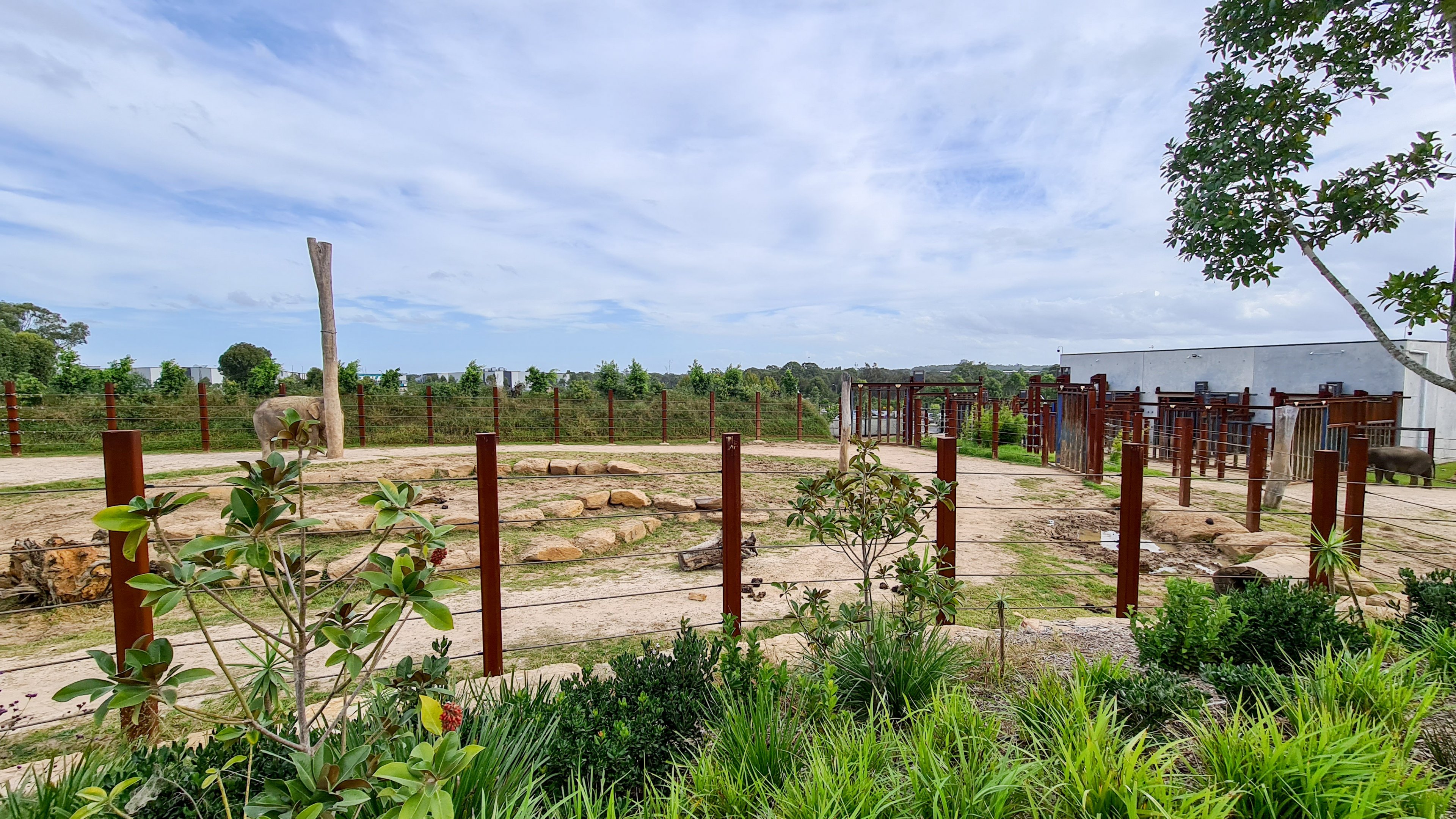 Asian elephant enclosure