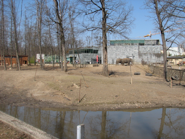 Asian elephant enclosure