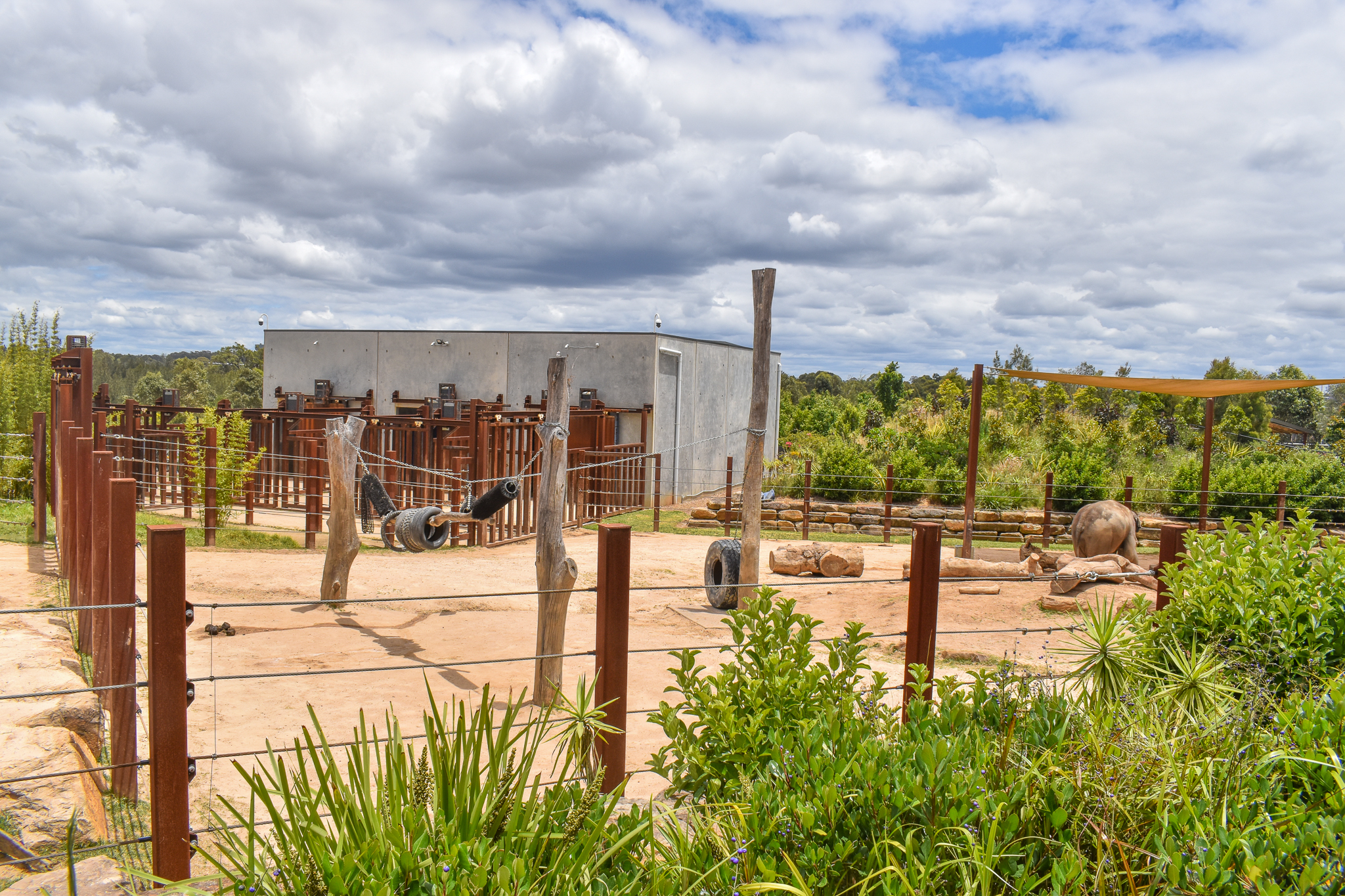 Asian Elephant Enclosure