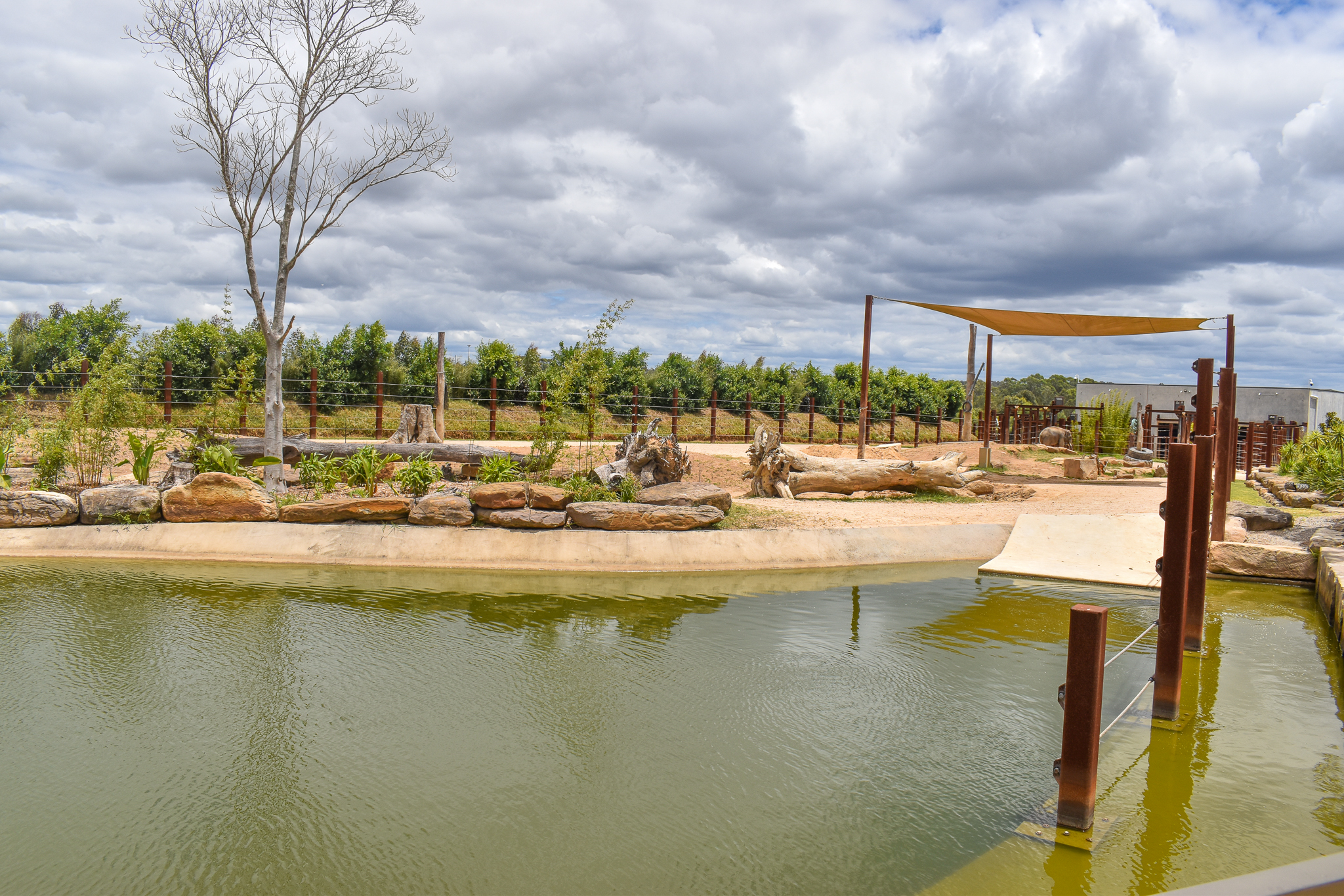 Asian Elephant Enclosure